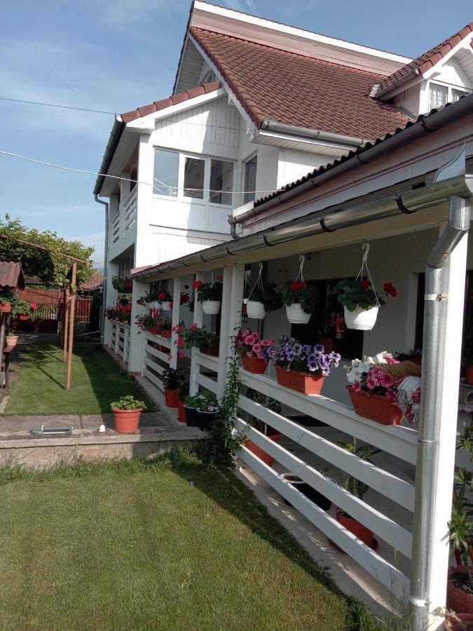 Hotel Cazare Turism Prislop Haţeg Exterior foto